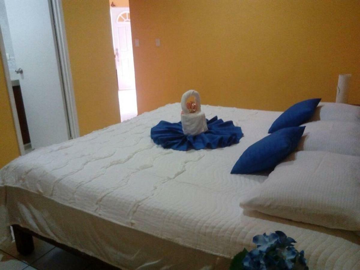 Casa Coral Cozumel Daire Dış mekan fotoğraf